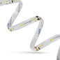 LED-Streifen 12V Kaltweiß – 4,8W/m, 60 LED/m, 5m Rolle, IP54