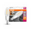 LED E14 B40 Kerze Filament klar 4,5W = 40W 470lm Warm 2200K-2700K DIMMBAR