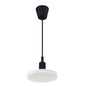 ALBENE ECO LED Pendelleuchte 18W Warmweiß Schwarz
