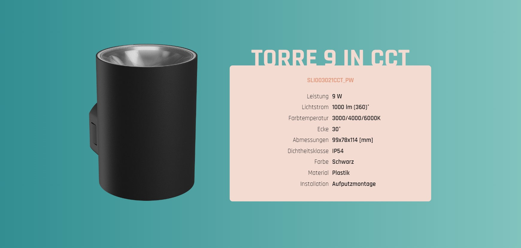 LED Aussenleuchte TORRE 9W 1000lm IP54 Wandleuchte rund schwarz CCT 3000-6000K