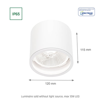 LED Chloe AR111 GU10 Außenleuchte weiss Deckenleuchte IP65 max.12W rund