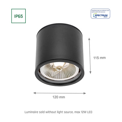 LED Chloe GU10 AR111 Aufbauleuchte schwarz Deckenleuchte IP65 max. 12W rund