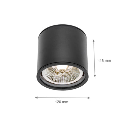 LED Chloe GU10 AR111 Aufbauleuchte schwarz Deckenleuchte IP65 max. 12W rund