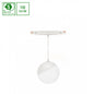 GLOBE P LED Stromschienenstrahler 48V 5W Warmweiß DALI Dimmbar Weiß blendfrei