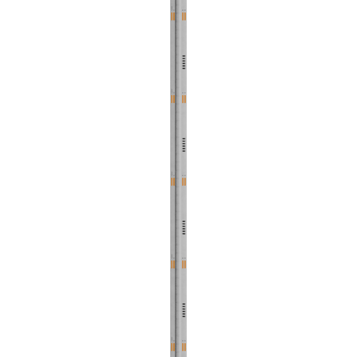 LED Streifen 5m 480 LED/m 4,8W 24V CCT